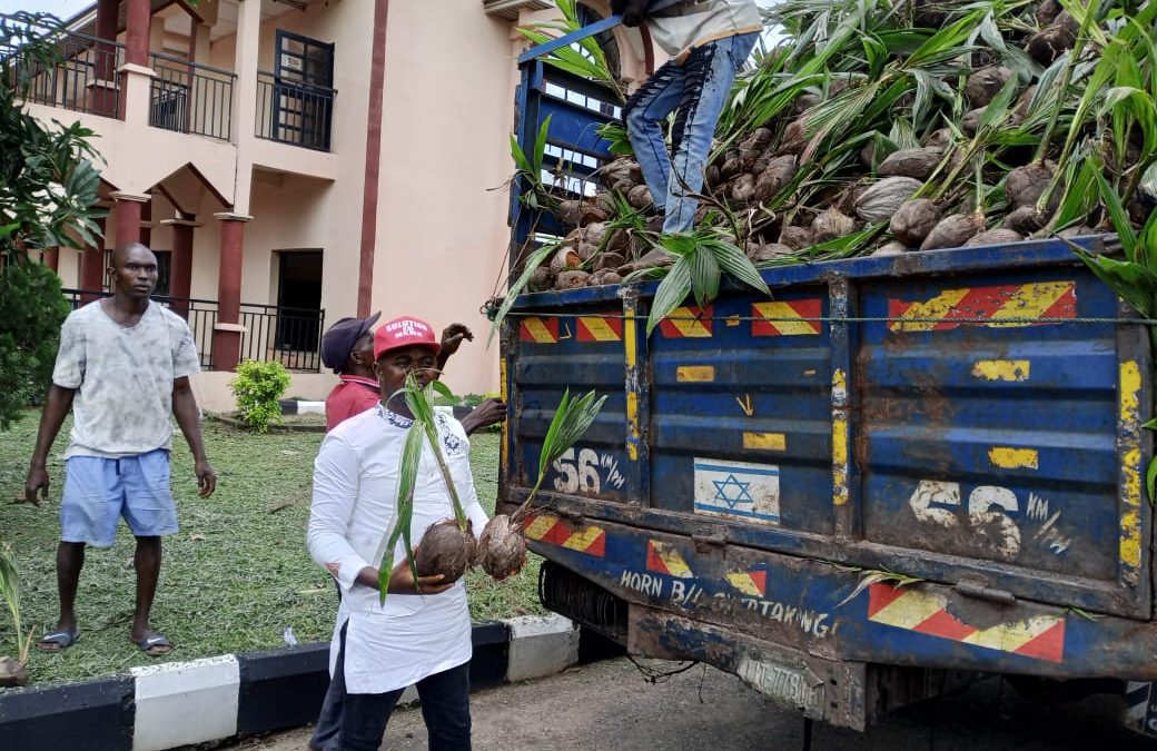 AGRICULTURAL EVOLUTION AND THE EMERGENCE OF STATEWIDE DISTRIBUTION OF SEEDLINGS TO FARMERS ….The SOLUDO SIGNATURE